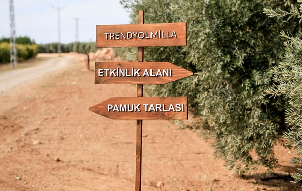 Trendyolmilla ilkə imza atıb: Regenerativ pambıqdan cins kolleksiyası