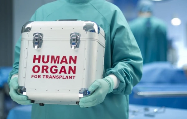 Bakıdakı tibb müəssisələrinin birində kök hüceyrələrin transplantasiyası həyata keçiriləcək - QƏRAR