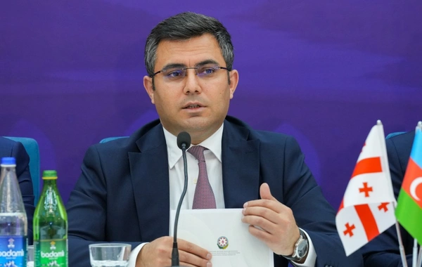 Naxçıvanda "Zəngəzur yolu: tarixin izi ilə" mövzusunda konfrans keçirilir