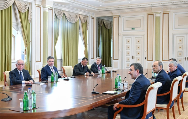 İlham Əliyev TDT-yə üzv dövlətlərin hökumət başçılarının görüşünün iştirakçılarını qəbul edib