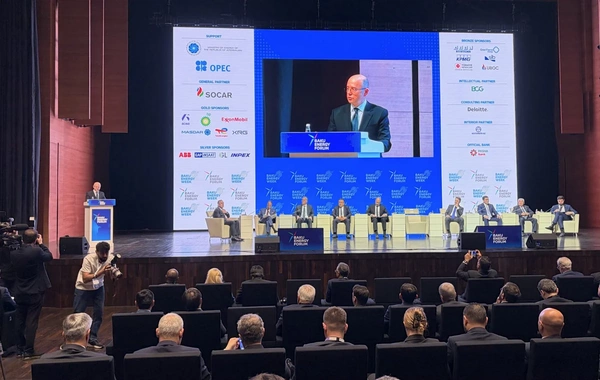 NE Global Bakı Enerji Həftəsi barədə: tədarükün şaxələndirilməsi və yaşıl enerjinin inkişafı