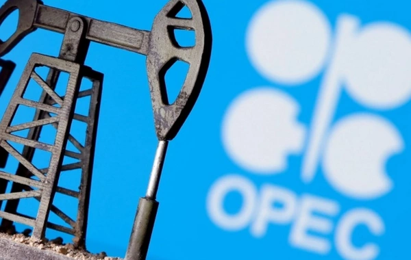 OPEC+ yanvarda neft hasilatını gündəlik 264 min barel azaldıb