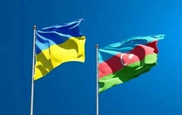 Azərbaycanın Ukraynaya humanitar yardımı prinsipial və praqmatik siyasətin nümunəsidir - RƏY