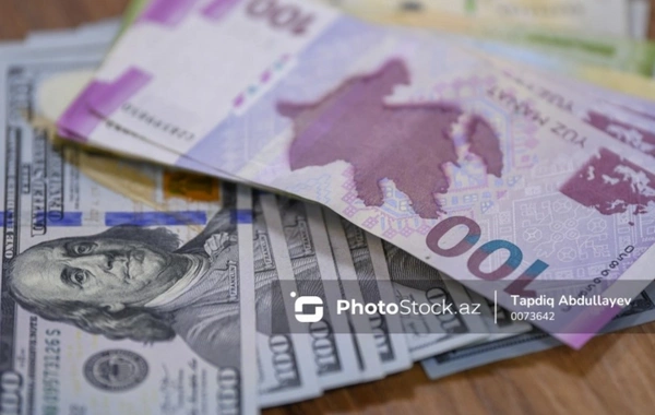 Mərkəzi Bank çalışır ki, insanlar manata etibar etsinlər - Sabit məzənnənin nəticəsi