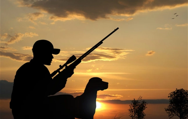 В Азербайджане досрочно завершили сезон охоты