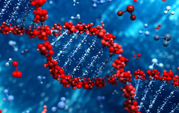 Genetic mutation that triggers autism and schizophrenia revealed