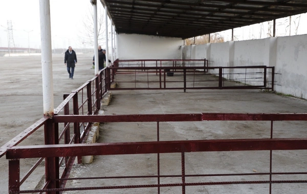 Salyan heyvan bazarı yenidən qurulub