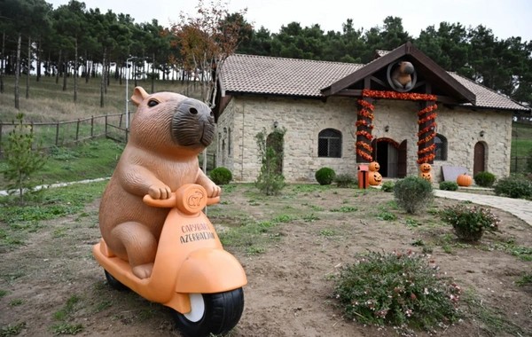 Leyla Əliyeva Şamaxıda "Capybara Azerbaijan" fermasında olub