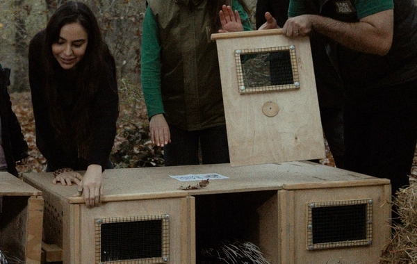 Leyla Əliyeva, Arzu Əliyeva və Alena Əliyeva Lənkəranda ekoloji aksiyalarda iştirak ediblər