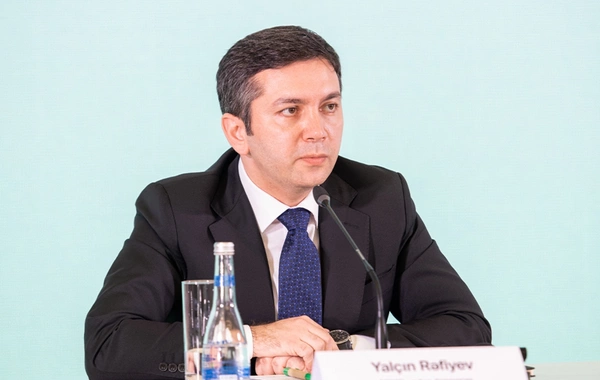 Yalçın Rəfiyev: Azərbaycan Mərkəzi Afrika Respublikası ilə diplomatik münasibətlər qurmağı planlaşdırır
