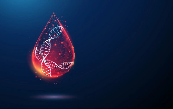 Названы 2 группы крови, носители которых созданы друг для друга