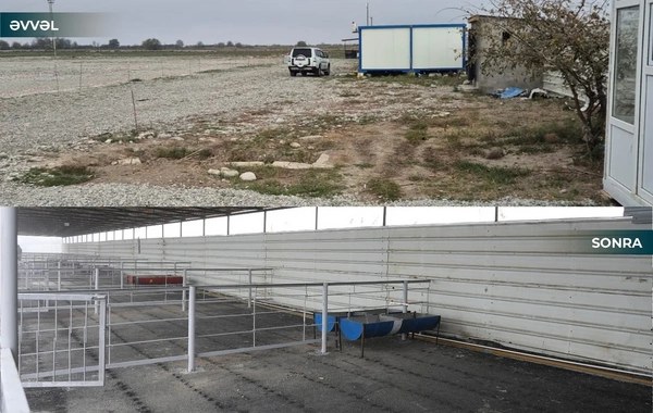 Kürdəmirdə heyvan bazarı yenidən açılıb