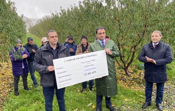 Azərbaycanda meyvə bağını şaxta vurması üzrə 712 min manat sığorta ödənişi edilib