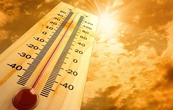 Названы территории Азербайджана с рекордными температурами в 2025 году