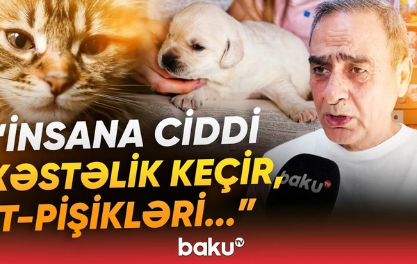 Nəqliyyatdan istifadə edəndə buna görə 200 manat cərimə oluna bilərsiniz - Baku TV