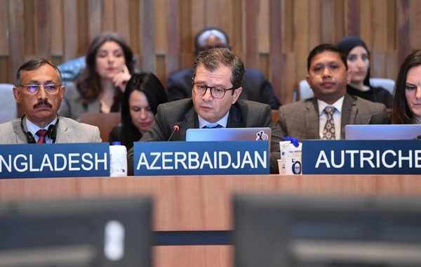 Azərbaycanın UNESCO yanında daimi nümayəndəsi Milli Bəyannamə ilə çıxış edib