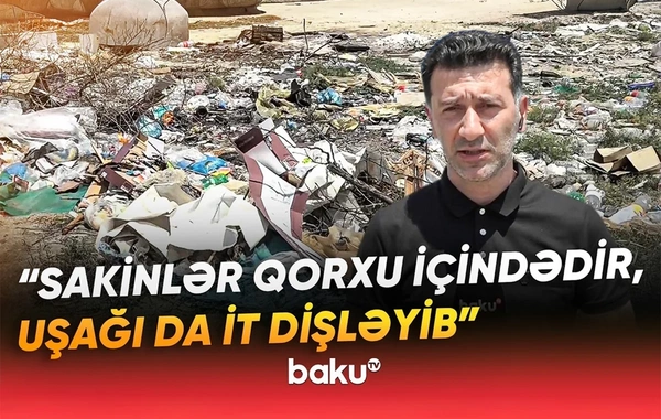 Pirşağıda zibil problemi: Üfunət, sahibsiz itlərin hücumu...