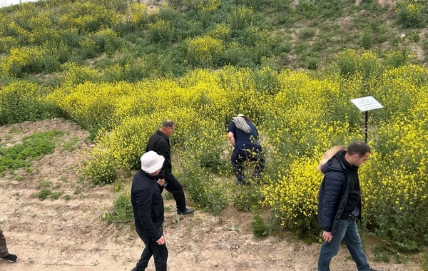 Ağdərə və Ağdamda yeni arxeoloji abidələr aşkar edilib
