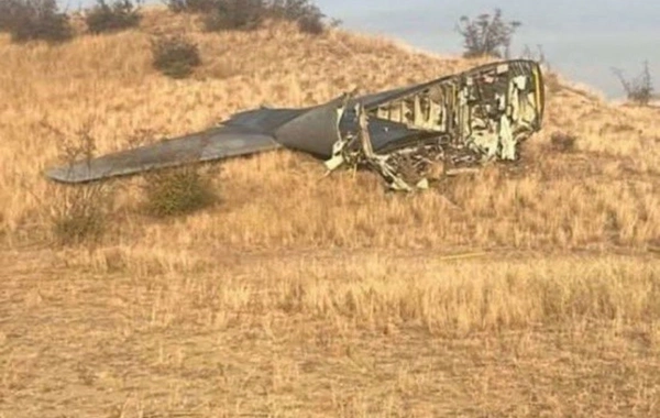 Gürcüstanda təyyarə qəzasında şəhid olan hərbçilərin nəşləri Türkiyəyə aparılacaq