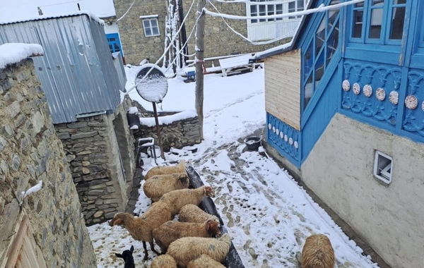 Xınalıq və Qrızda 10 santimetrə qədər qar yağıb - 3 dərəcə ŞAXTA VAR