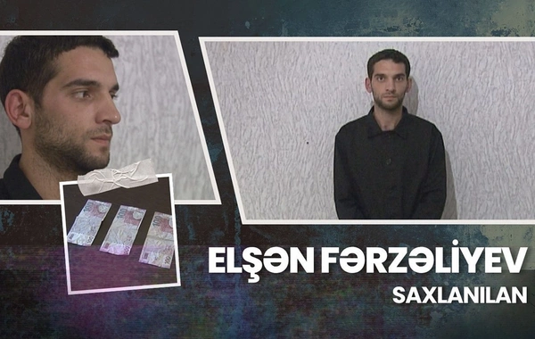 Göyçayda evlərdən oğurluq edən şəxs həbs olunub