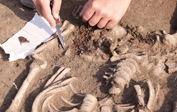 Britaniyada 10 nəfərə aid vikinq qalıqları tapılıb