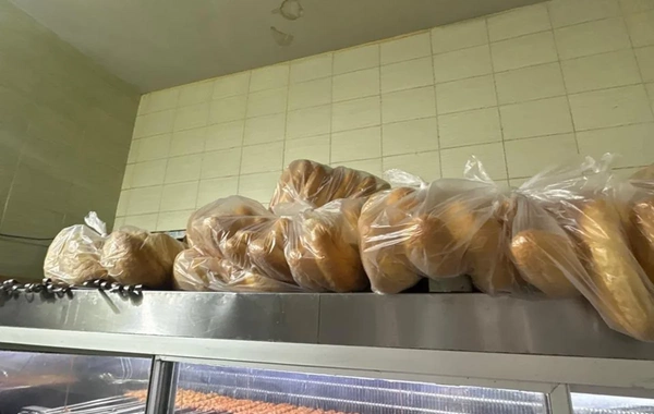 Bakıda kabab evində at DNT-si aşkarlanıb