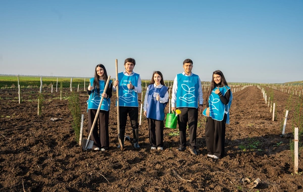 İDEA Sabirabad və Cəlilabad rayonlarında kütləvi ağacəkmə aksiyaları təşkil edib