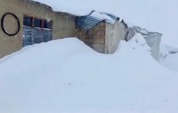 Apreldə Türkiyəyə yağan qarın hündürlüyü hamını təəccübləndirdi