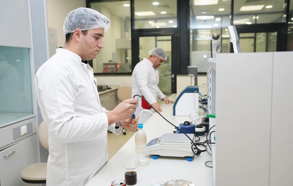 Səlahiyyətli nümayəndə: Naxçıvanda sahibkarlığın inkişafında keyfiyyətcə yeni mərhələ başlayıb