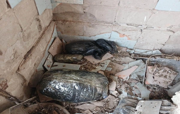 Salyanda köhnə tikilinin içərisində gizlədilmiş narkotik aşkarlandı