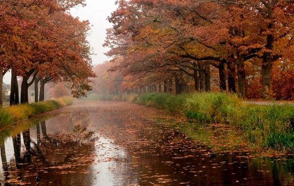 Синоптики рассказали о погоде в Баку и регионах на 30 января