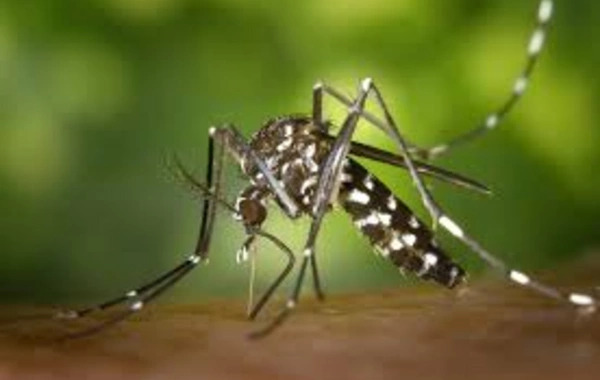 A dangerous virus is spreading in China