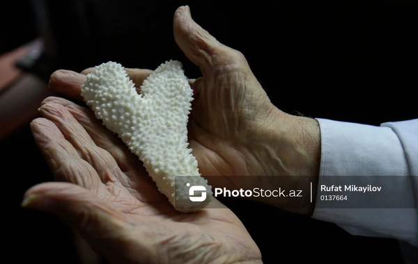 Bakıda unikal muzey: Dünyanın 56 yatağından toplanan minerallar - FOTOREPORTAJ