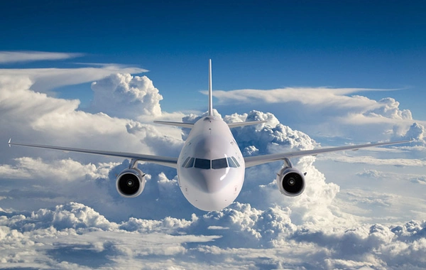 Airplane passengers began praying after pilot suffered a seizure