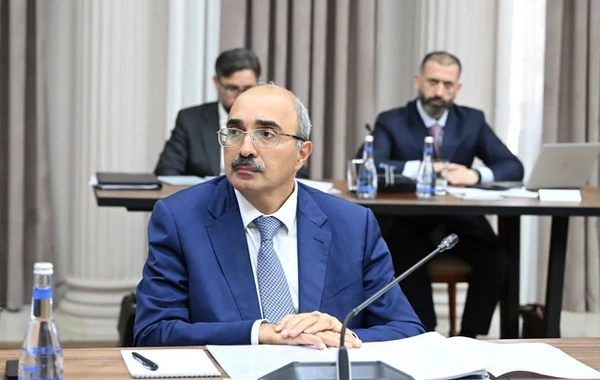 İqtisadi Şuranın növbəti iclası keçirilib