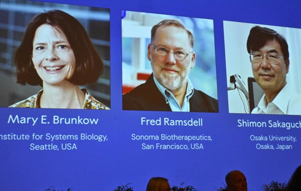 Названы болезни, лечению которых поможет открытие нобелевских лауреатов