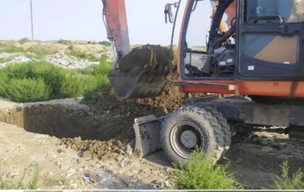 Azərbaycana gətirilən bioloji aktiv qida məhsulu məhv edildi