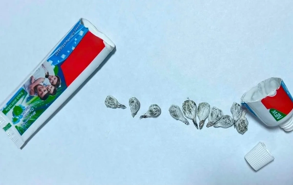 Cəzaçəkmə müəssisəsinə diş məcununun içərisində narkotik keçirilməsinin qarşısı alınıb