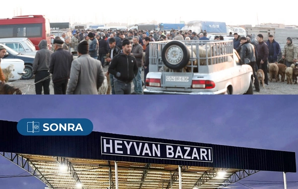 Bərdə heyvan satışı bazarı yenidən fəaliyyətə başlayıb