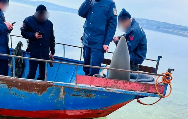 Запущенная из Ирана ракета сбита в воздушном пространстве Турции