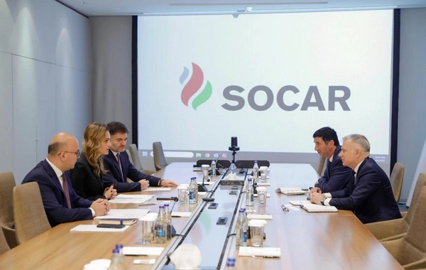 SOCAR və Beynəlxalq Əmək Təşkilatı potensial əməkdaşlıq imkanlarını nəzərdən keçirib