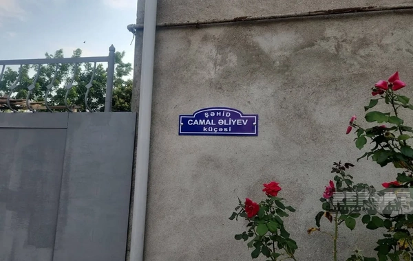 Cəlilabadda beş küçəyə şəhidlərin adı verilib
