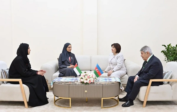 Sahibə Qafarova BƏƏ Federal Milli Şurasının sədr müavini ilə görüşüb
