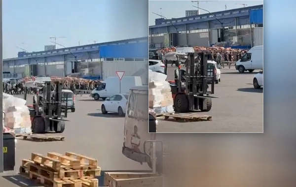 ОМОН провел массовое задержание азербайджанцев на московском рынке