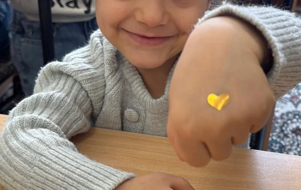 Leyla Əliyevanın təşəbbüsü ilə uşaq evlərində sosial-emosional öyrənmə proqramı icra olunur