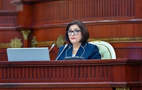Sahibə Qafarova: Qadınların iqtisadiyyatla məşğul olması daha məqsədəuyğundur