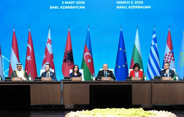 Leyla Əliyeva "Yaşıl enerji layihələri" sessiyasında çıxış edib