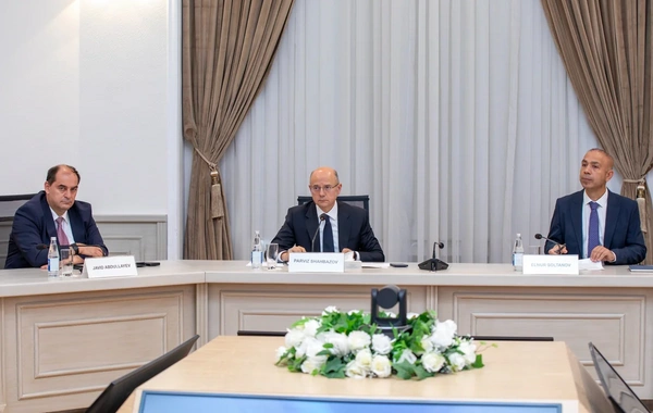 Azərbaycan və Çin yaşıl enerji layihələri və şəbəkə tədqiqatını müzakirə edib