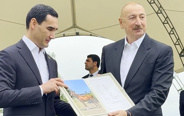 İlham Əliyev Türkmənistan dövlətinin başçısına Mərd adlı Qarabağ atını hədiyyə edib